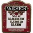 Mr. Boston - Blackberry Flavored Brandy <span>(750ml)</span>