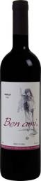 NV Ben Ami - Merlot Galilee (750ml) (750ml)